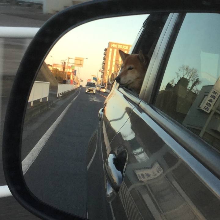 6d1912ad 913f 4f39 97d3 6b9062e7baa6 1552173630437