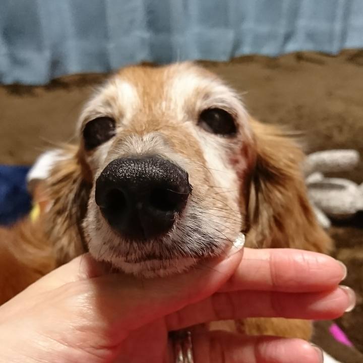 6d191d48 e86e 4e1c 94be 58464f80c0f0 1512273245154