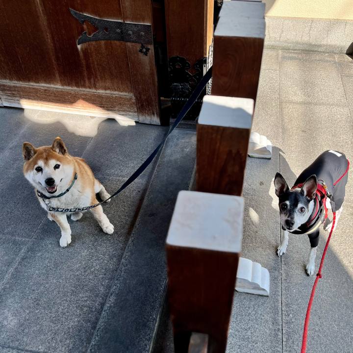 6d192a6b f1f6 4463 a976 52328be8cf7f 1654990179639