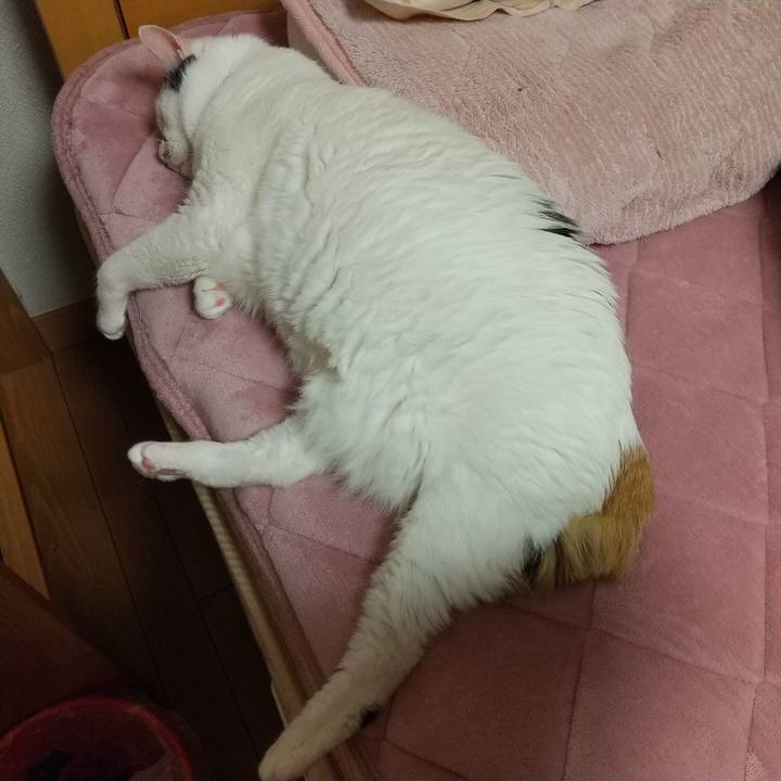 6d194b8c 38a1 41ba 8c25 6f83a59518e6 1645626772004