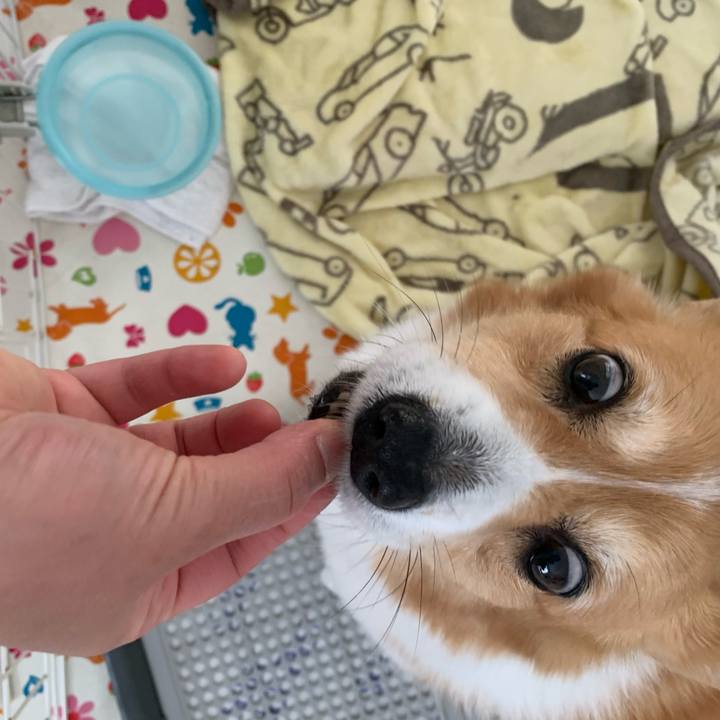 6d195321 962a 4d49 8b0a 45ad96f33589 1682063518535