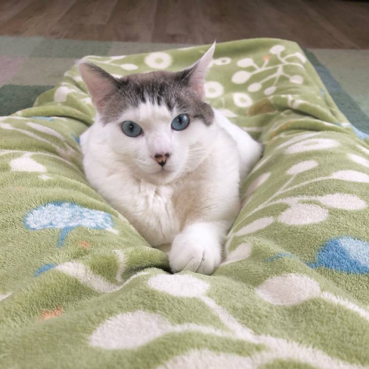 6d195848 7809 4638 aa71 777f577f48c3 1607838493309