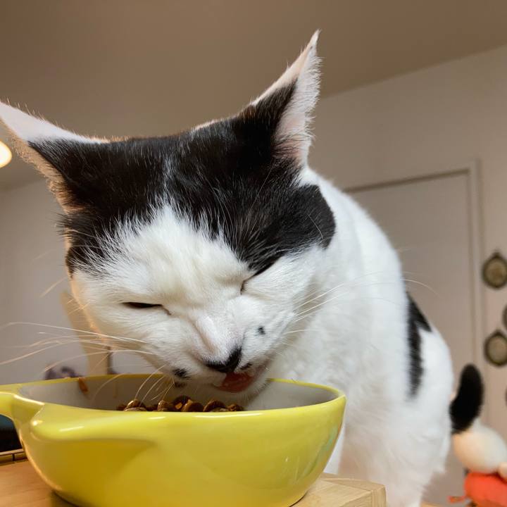 6d198e49 b1fe 4850 924d 54579b19e86d 1775163230906