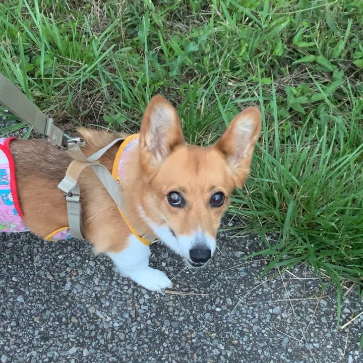 6d19b4b6 c9bc 4fff 9f1d dfb25ff61eee 1624359237625