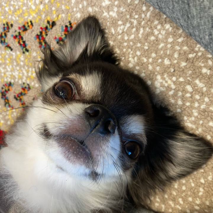 6d1a32db 879a 4124 b4f9 839159f1de70 1716652097500