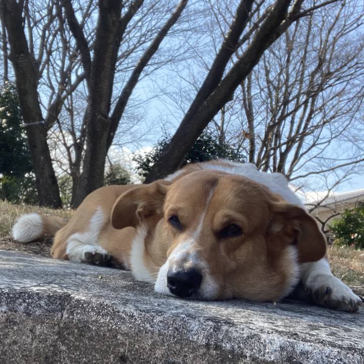 6d1a56f1 a5fe 4291 a916 6c8f17d1d3fd 1739758457314