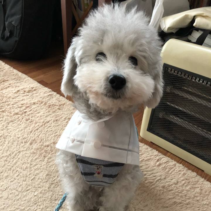 6d1a5dfa ef0f 4d60 8bdc 3e75e9f80ff9 1575960907018