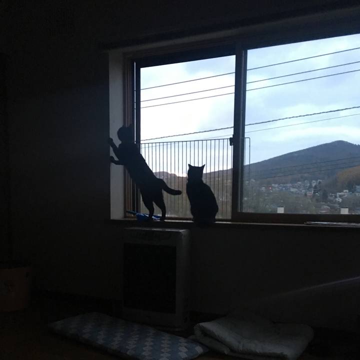 6d1a9e07 5274 4c69 ae65 328c901c0663 1534478977624