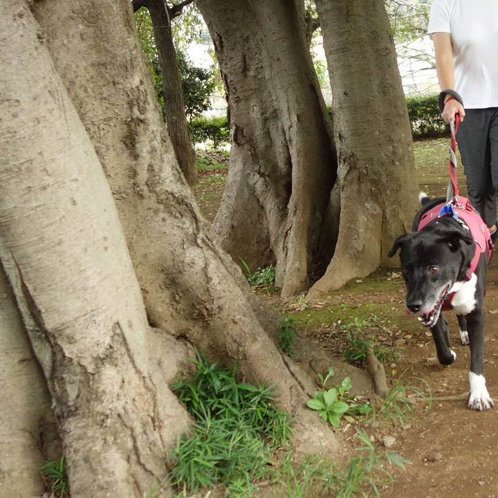 6d1aba0d d5d9 4641 8091 31dab639241b 1695772706630