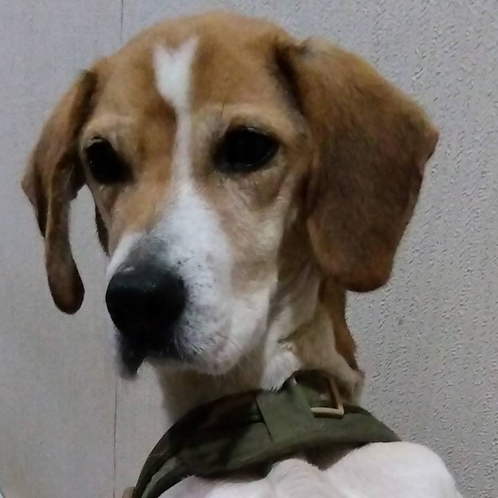 6d1b4f33 64b1 4598 a468 36c3e160dfa5 1676899052752