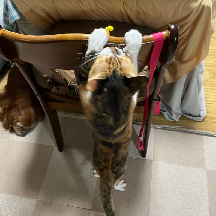 6d1bcd5c 2669 4911 b65c 84453f14c8aa 1773313505094