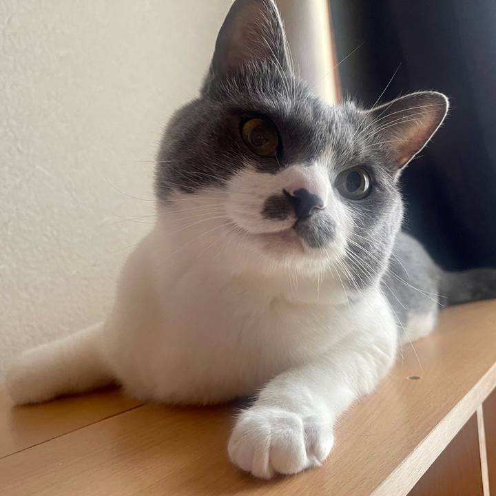 6d1c214e abba 497b af32 22219f66a235 1656026382323