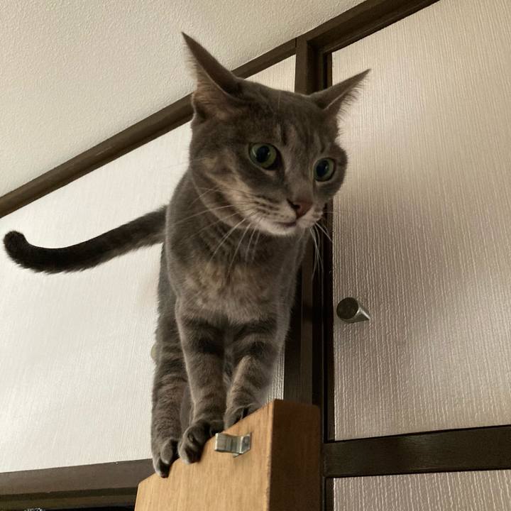 6d1c89a5 36b3 460a bdeb 9559bc28610f 1632559766384