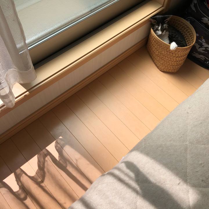 6d1ca326 48a0 476d be6a 55208554e8b1 1617017292291