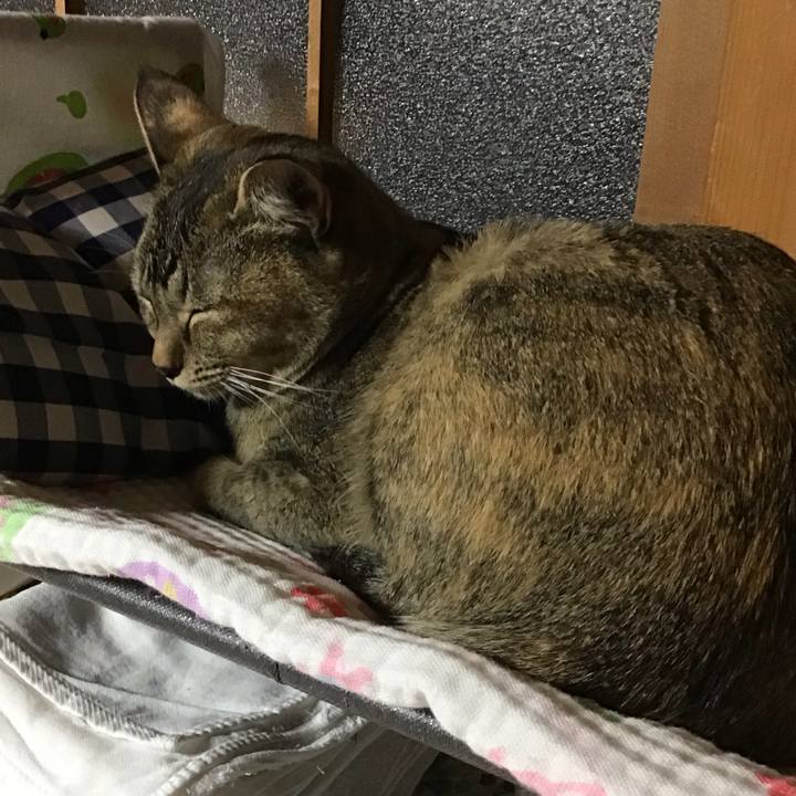 6d1cb537 1c6d 4403 a98f fcd8b940e340 1580813025104