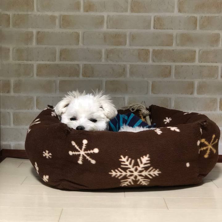 6d1cc049 0048 4ec7 b4b1 fd895e4b2948 1523618247142