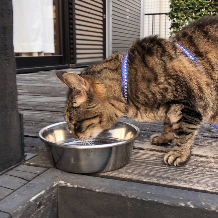 6d1cf2ee ae80 43cd af3f a6287afa752f 1522327045187