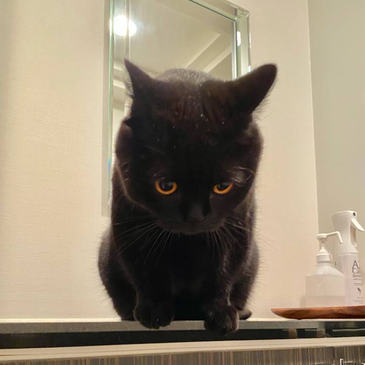 6d1cfc47 7327 49d3 8999 3aa69388a198 1634551445367