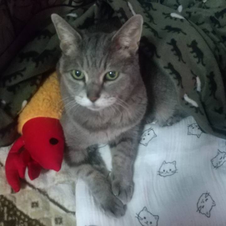 6d1d00e1 884d 44d0 a776 e90335e6850f 1675982119436