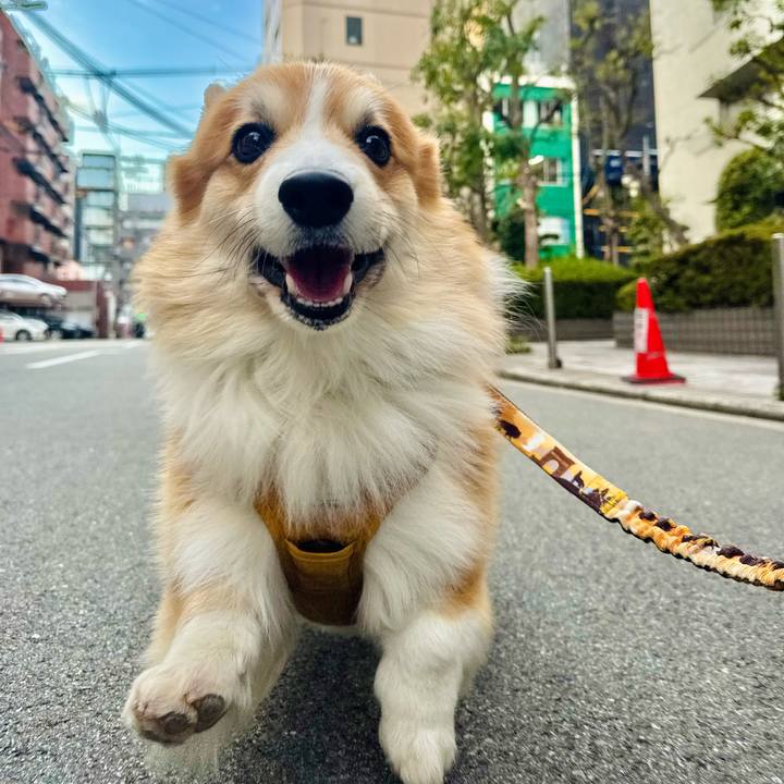 6d1d0aa6 429d 440c a7bc 6ed01a545ca5 1768265786736