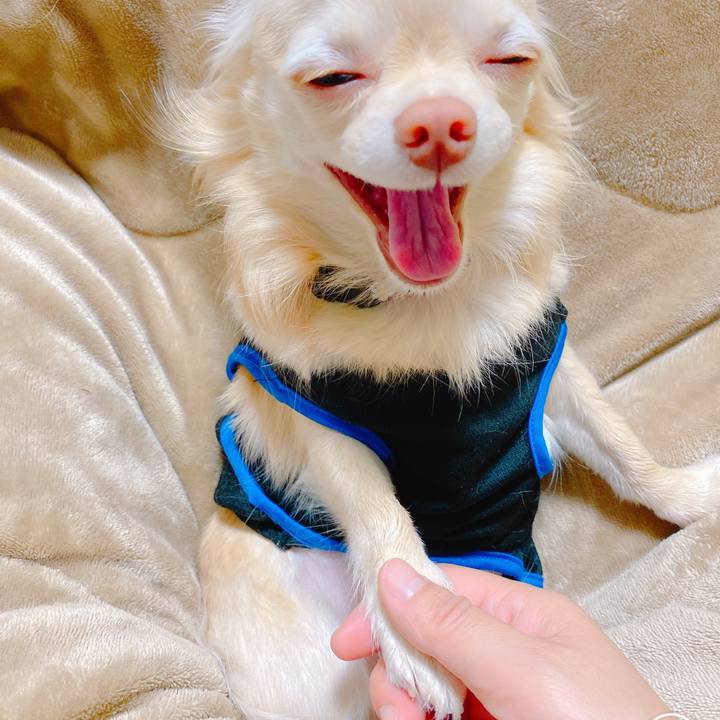 6d1d1fe6 03d1 4d46 88a3 30475e0620ea 1639991041411