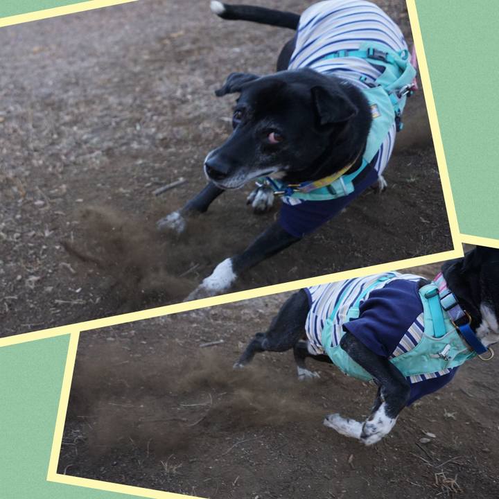 6d1d558b 32ef 470d b620 e49d337d12e6 1770253746398