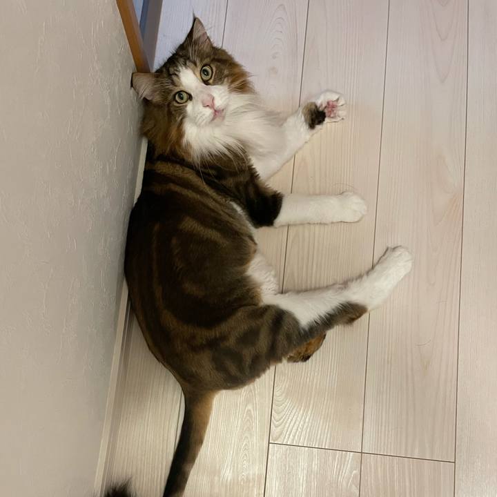 6d1d5df9 ac5a 48a4 943c eb47fe1ac18c 1721589455085