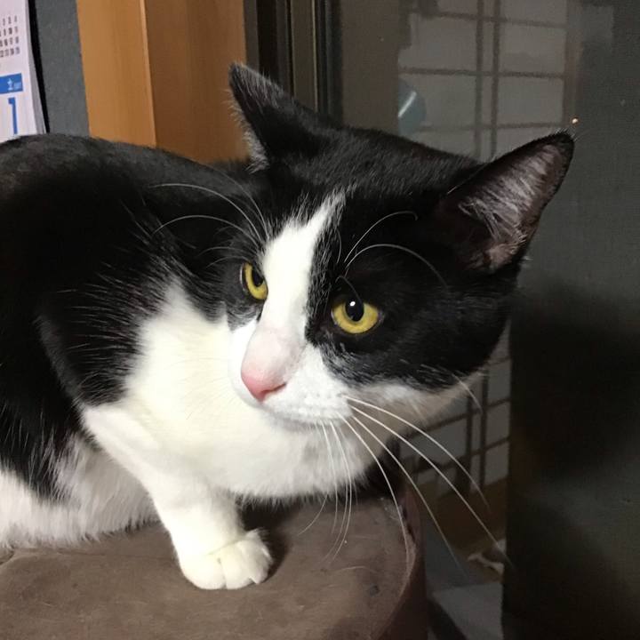 6d1dbd6a 895c 4f50 84e0 c2e8f21d8390 1673170707886