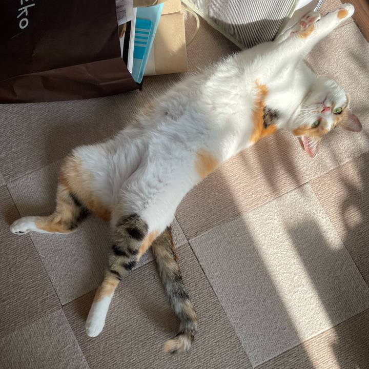 6d1dc7ca 56c2 42b1 ae44 a16160a544c2 1661590129488