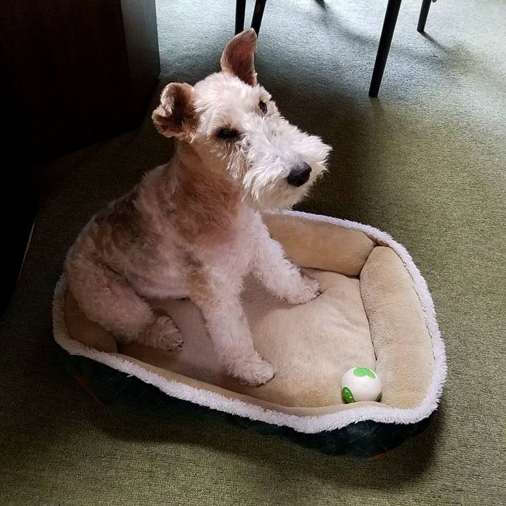 6d1e2b05 c047 4ee7 847b d627c652500f 1518835972372