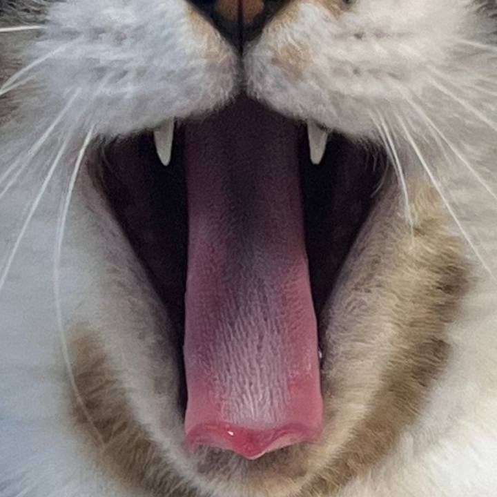 6d1e4322 06e5 4d0f 8551 4263fd338fe1 1768469880756