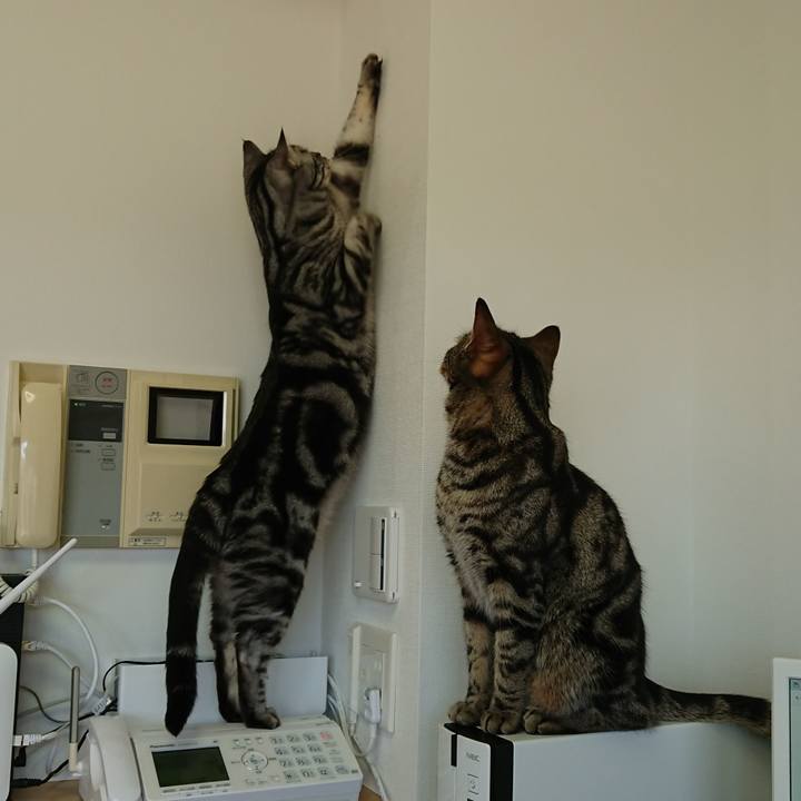 6d1e60e9 9edd 42e4 b1a4 5a02e43e8e55 1552021395924