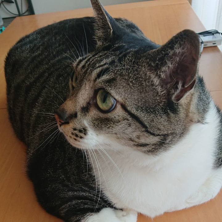 6d1e6f5c 0798 4811 9013 58551d23f5e1 1524271583934