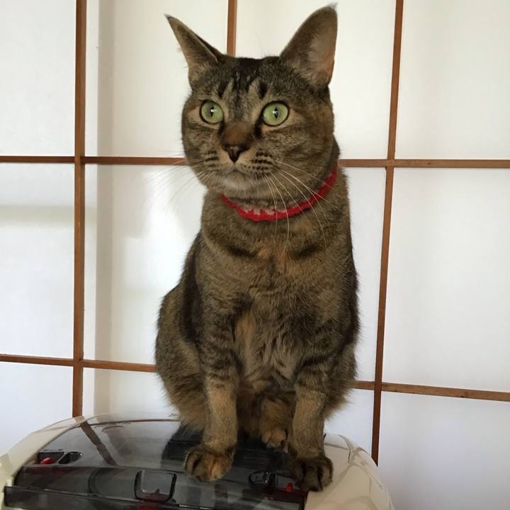 6d1ead1d 0d72 4fc3 b1fc c25a11dff9b7 1681191104923