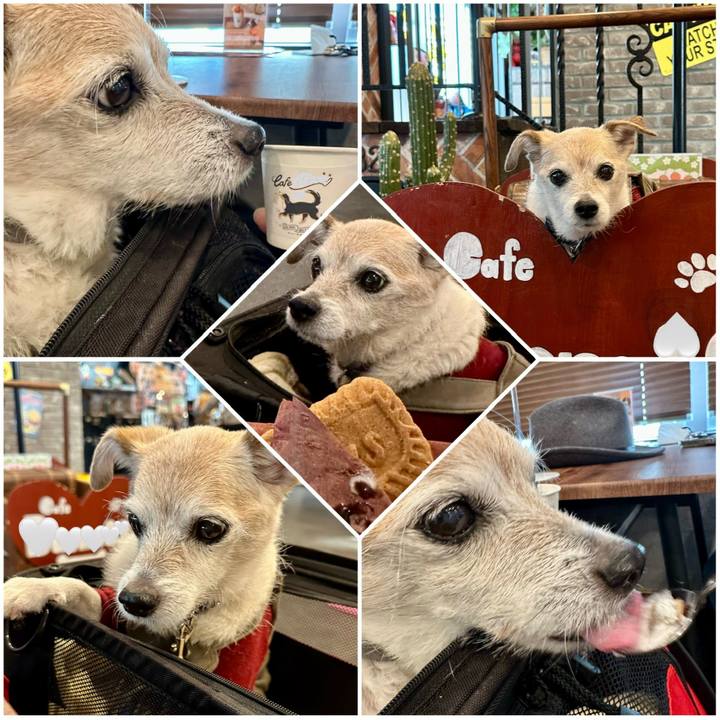 6d1f00de ec71 4674 bdb4 63a94c0ae06c 1768818008381