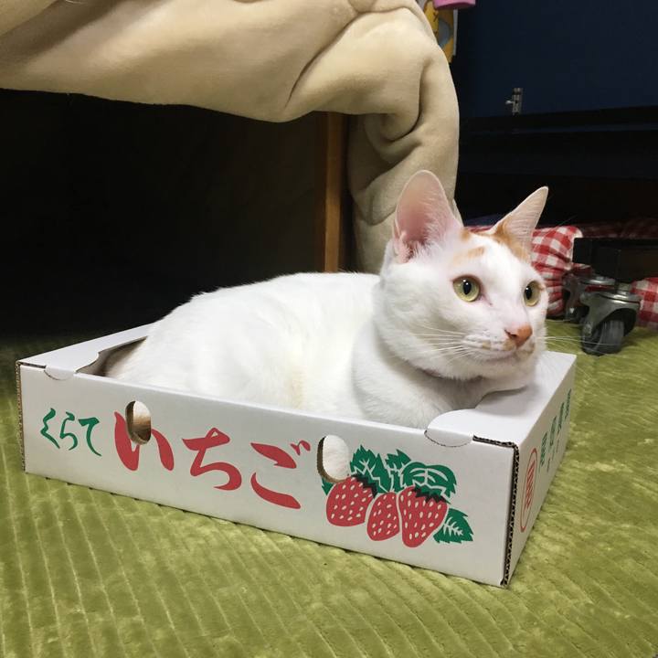 6d1f0255 d140 402a a3d2 5a85e8869740 1546607509028