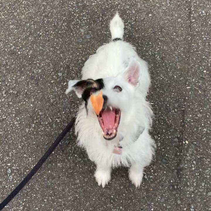 6d1f1e77 74c2 4822 8d14 bf9bc54427b0 1662020357382