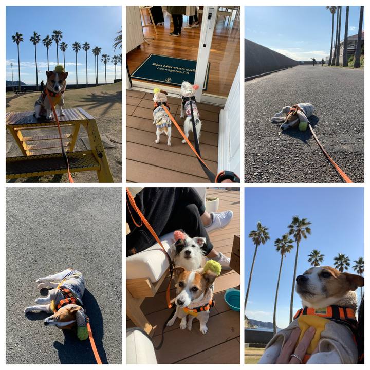 6d1f3d80 5cae 41ea 9f5d 68a041524886 1577857241136