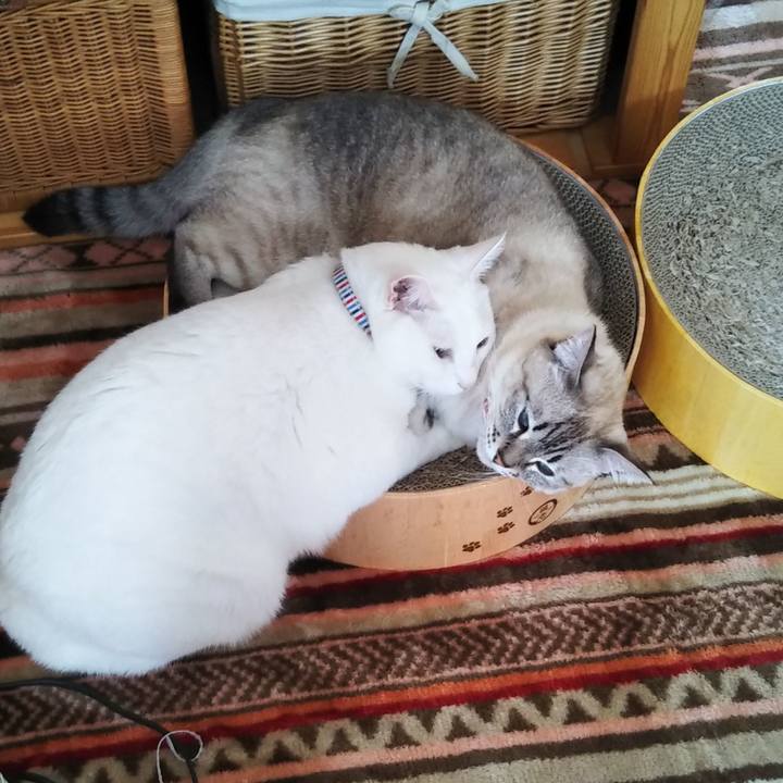 6d1f624f c1a5 4b55 89fd c7276397ec43 1604631142172