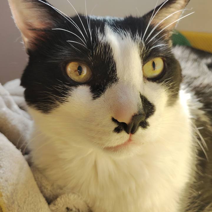 6d1f7805 5aa4 4c93 8cd5 8b9d3d2cda79 1773100832594