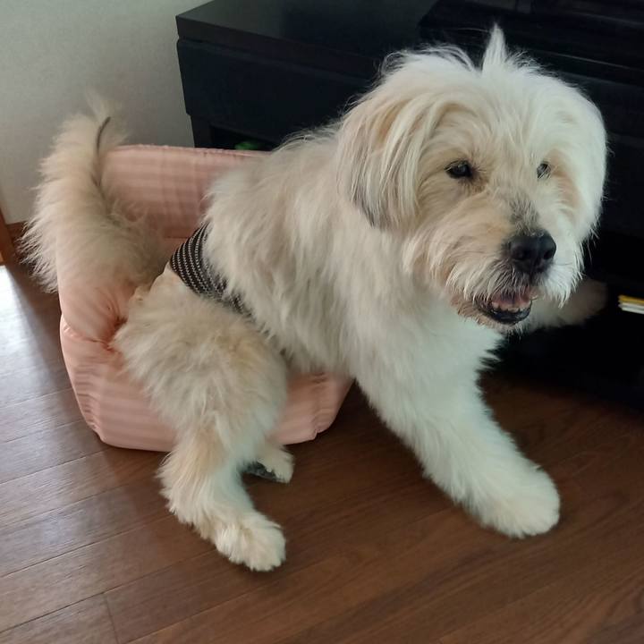 6d1f791f 6ada 429c 9b43 c18e65e900bd 1626778618782