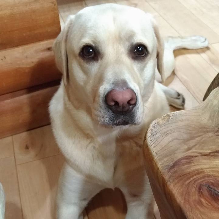 6d1fbf19 b0fc 4628 8cae b7941d43ac31 1538790255000