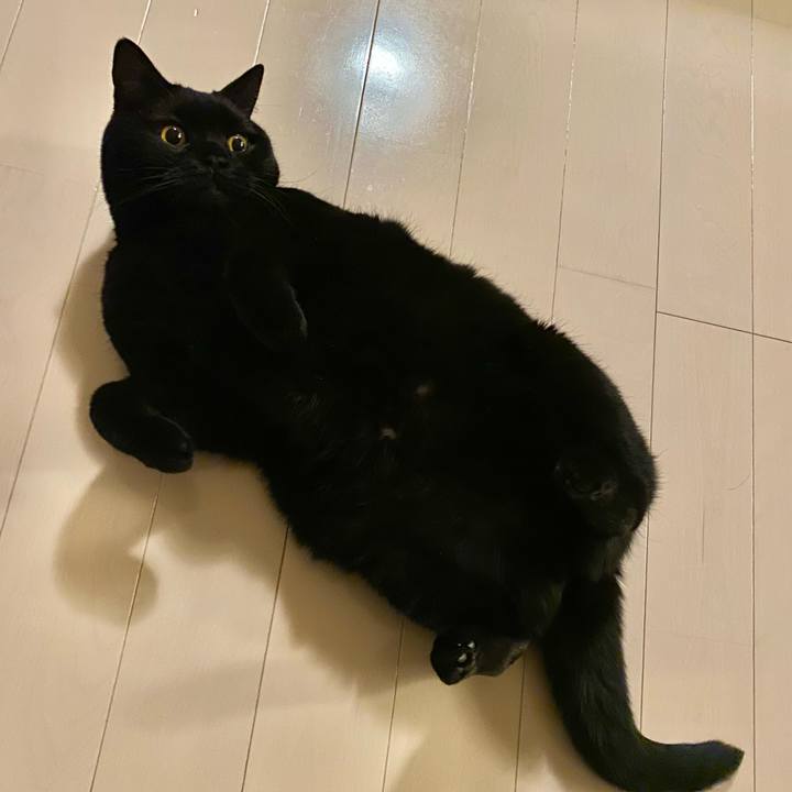 6d1fd138 02e8 41bb 8e5b 4d23872983bd 1640162332722