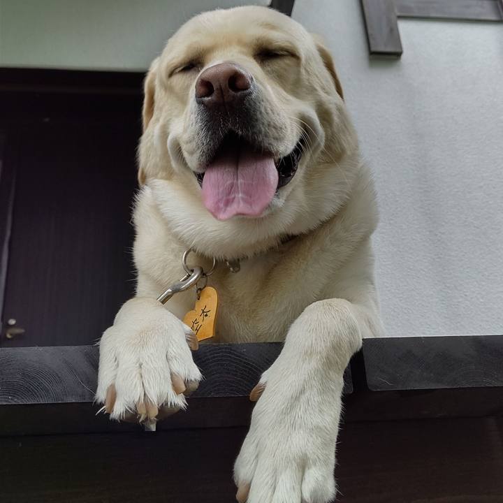 6d1ff4d4 6874 4e32 bca2 2e6685df8502 1595553894813