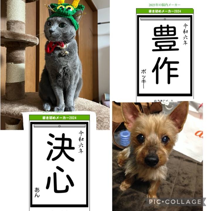 6d205639 b141 4420 9fd1 6b79753fca93 1704614143163