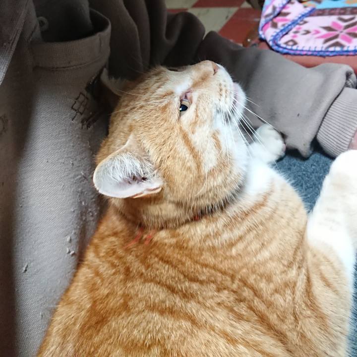 6d206da0 8bf3 4994 ae15 65906db06507 1579813615201