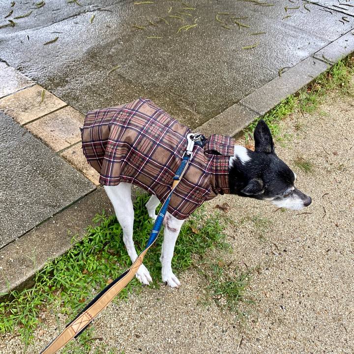 6d206f60 1401 4eb9 a8b3 301c09061503 1625175501640