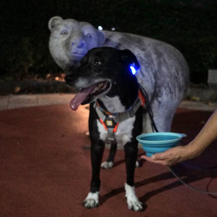 6d20753f 31e7 44a5 8494 cf1245bea404 1758020413413