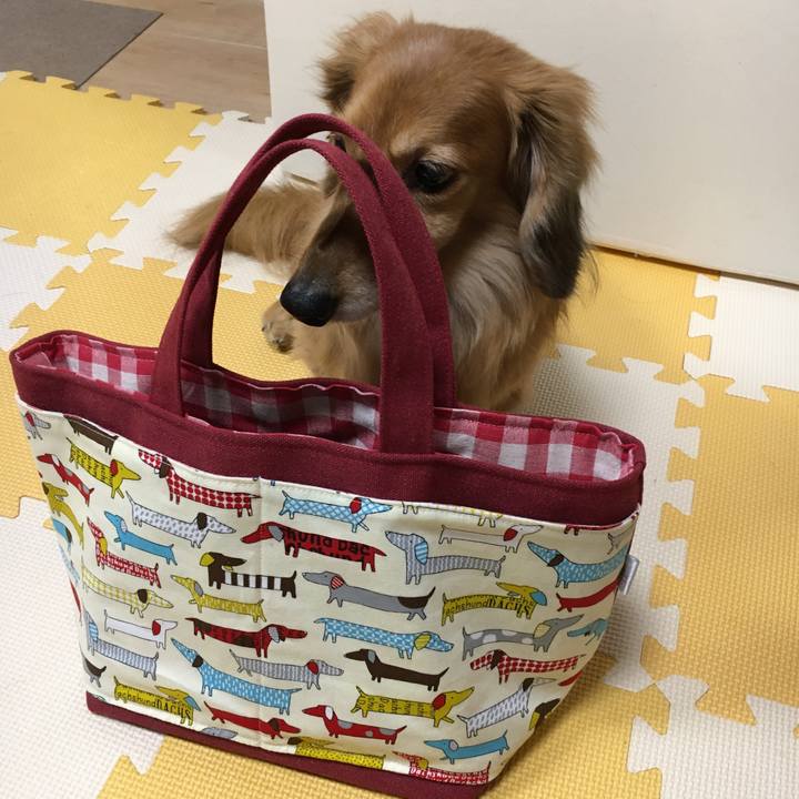 6d20852b d7ea 4b7d b8d8 0e3cb2ede0a8 1606744559482