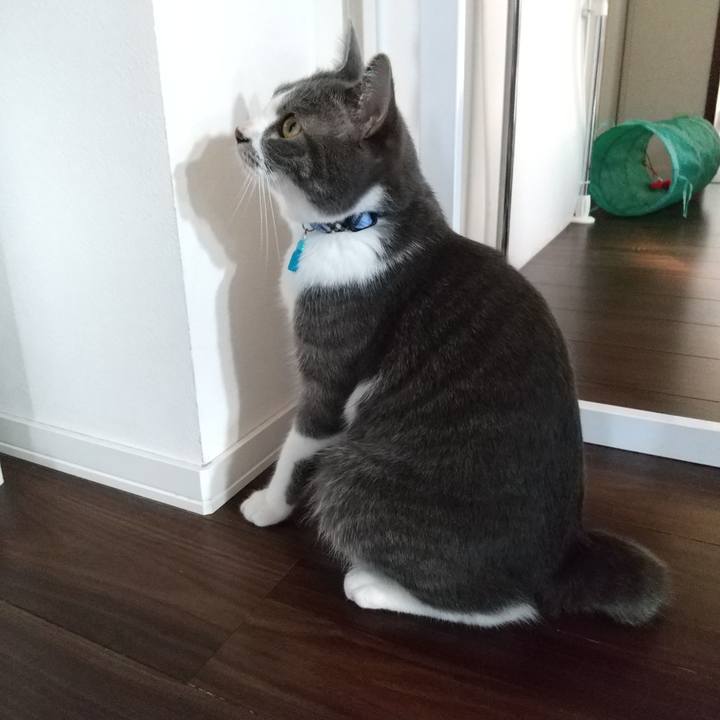 6d20b249 51f5 4fae 9813 4feb6b7f279f 1601680641875